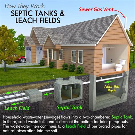 septic tank placement requirements